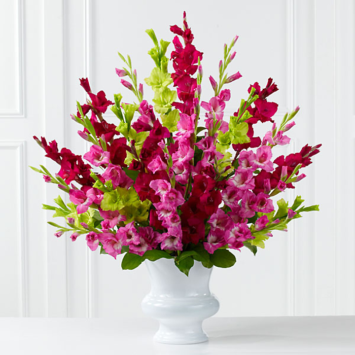 The Solemn Offering? Arrangement