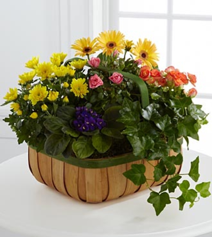 Gentle Blossoms™ Basket